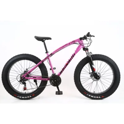 Snowland 26-inch Carbon Steel Frame with Spokes, Spring-loaded Mechanical Shock-absorbing Front Fork, 7-speed bicycle