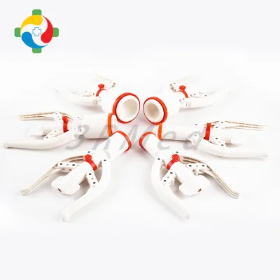 cheap price for male adult surgical circumcision device /plastibell circumcision device