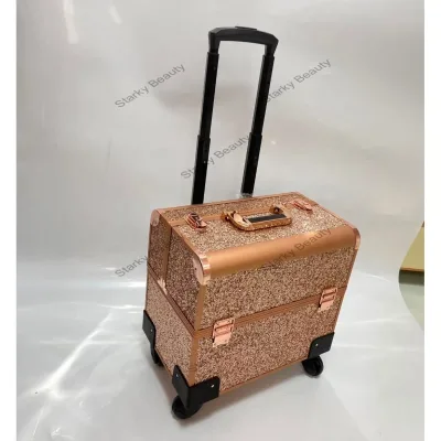 Professional Salon Aluminium Trolley Nail Beauty Case