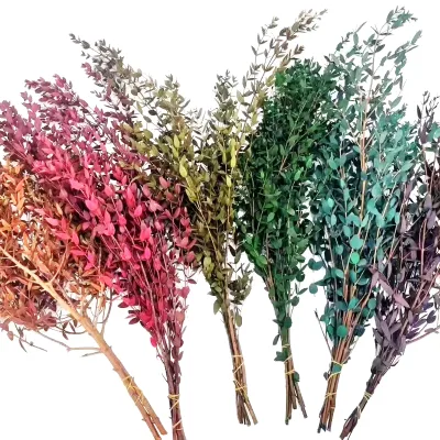 PPL21 E.tereticornis Dried Preserved Eucalyptus Teardrop Leaves Branches for Vase Filler BathroomWedding Arrangement Decor