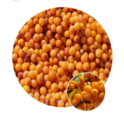 High Quality Frozen Sea Buckthorn Berries Sea Buckthorn IQF Frozen Sea Buckthorn Berries