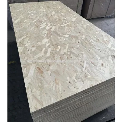 Construction Grade Poplar And Pine OSB, OSB2, OSB3 Board