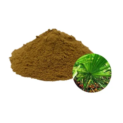 High Quality Saw Palmetto Extract Powder Saw Palmetto Extract Saw Palmetto Berry Extract