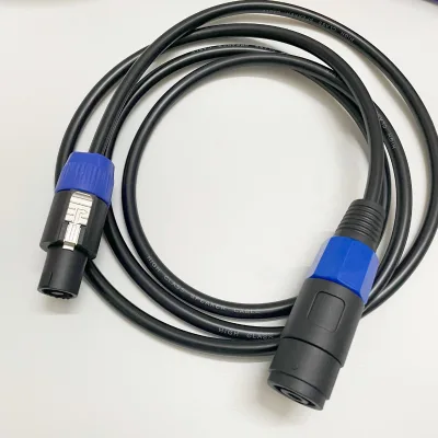 Speakon male-to-female ohm audio system, Ohm audio stage power amplifier, Shannon engineering speaker cable