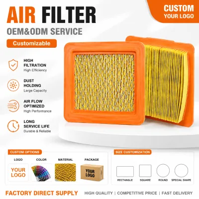 Filtro De Aire Para Motocicleta, Filtro De Espuma De Poliéter Para DY250 CROSSFIRE