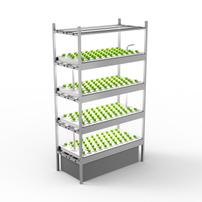 Urban Indoor Vertical Farming Controlled Environment Agriculture