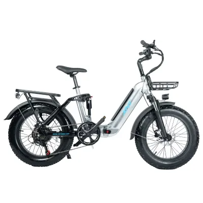 Low Price Outdoor Electric Bicycle Electric Dirt Ebike Electric Vehicle 350W Other Electric Bike
