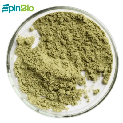Health Food  80-200 Mesh  Fresh Barley Grass Powder