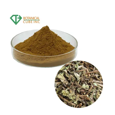 10:1 Cat Whiskers Plant Extract Powder Orthosiphon Aristatus Extract
