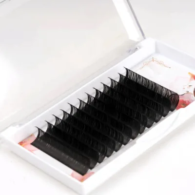 Wholesale Custom Packing High Quality Handmade Soft 0.03 0.05 0.07 0.10 0.12 0.15 0.18 0.20 Classic Eyelash Extension