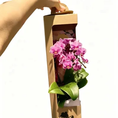 Custom Logo Portable Cardboard Plant Gift Box with Handle for Flowers and Orchids