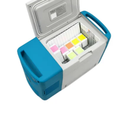 Power-Efficient Low Temperature Laboratory Freezers 10L Portable Automobile Cooler for Cold Drinks