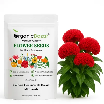 Wholesale Seeds Kakdi Long Melon Vegetable Packet With Custom Retail Pouch for Garden Store Vegetable Seeds Packet