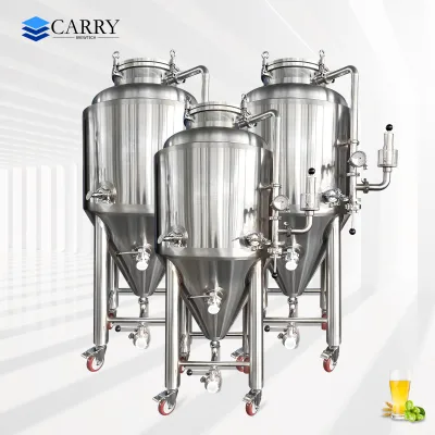 200L 2BL SUS304 Customized Industrial Beer Brewing Equipment Direct Factory Fermentation Tanks for Brewery and Brewpub