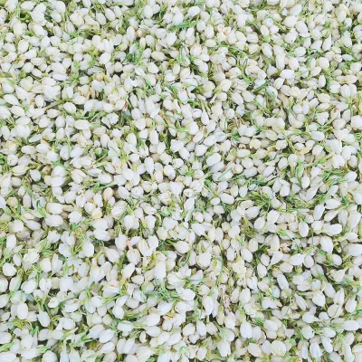 Super Fragrant Dried Jasmine Buds Sulfur Free Flower, Fresh Picked Whole Jasmine Petals for Scented Tea & Flavor Raw Material