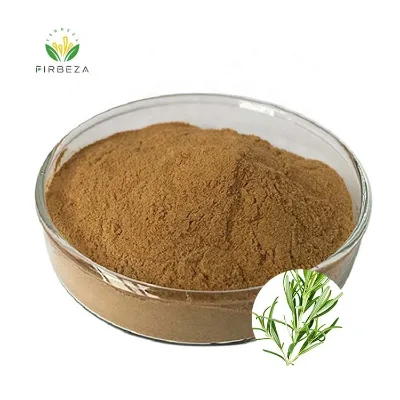 Factory Price 5% Rosmarinic Acid Powder Natural Orgnaic Herb Rosemary Extract
