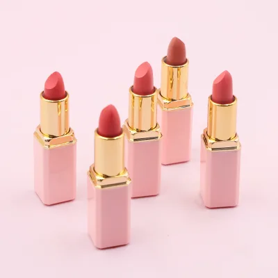 Custom Solid Moisturizing Nude Lipstick Matte, Natural Mat pink Makeup Lipstick Cosmetic Oem Lipstick Lip Stick