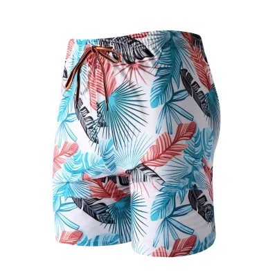 Men's Five Boardshorts Swimming Trunks Men's Swimming Trunks Underwater Loose Models Seaside Small Spot Wholesale
