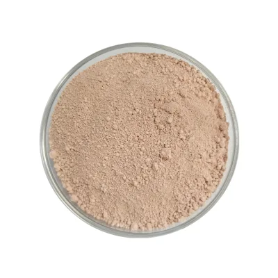 CeO2 Cerium Oxide With Low Price for Glass Polishing