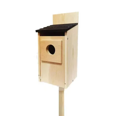Custom Cheap Price Bird Houses Small Wooden Bird Houses Wood Carved Decorative Bird Houses for Finches Bluebirds Cardinals