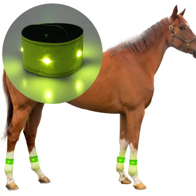 Led Horse Leg Band and Led Horse Equipment