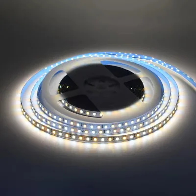 Factory Direct Sales Linear Lighting Living Room Bedroom 12V 120leds Highlight SMD2835 Led Backlight Strip Light Double Colors