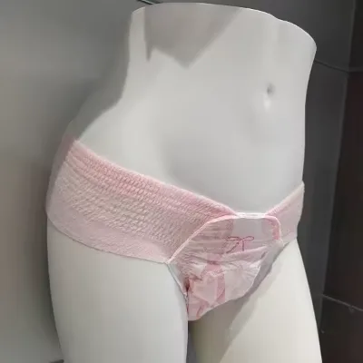 Hot Wholesale Breathable Disposable Overnight Period Women Underwear Menstrual Panties Super Absorption Napkin Sanitary