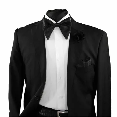 Luxury 100% SILK CHARMEUSE SATIN Evening Large Bow Ties Drop Tear Bowties Women Men Formal Party Prom Big Bowties