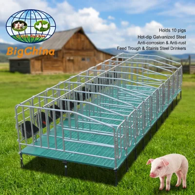 Sow Gestation Pen for Pig Farm Steel Sow Crate with Cast Iron Feeder and Swing Front Door Locking for Efficient Management