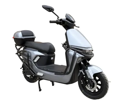Wholesale 1500W ODM Adult E-Bike Complete Set Carbon Steel Frame Disc Brake High Speed Long Range Lead Acid/Lithium Battery