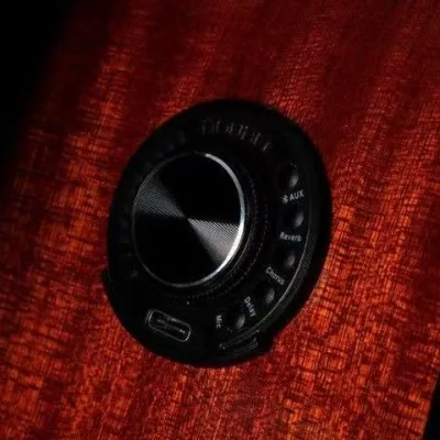 DOUBLE OS1 Guitar Pickup with Vibration Technology and for  Accompaniment