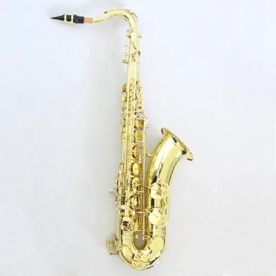 Entry Level FTS-100 Bb Tenor Sax Gold Lacquer Brass Body for School Band Practice & Performance