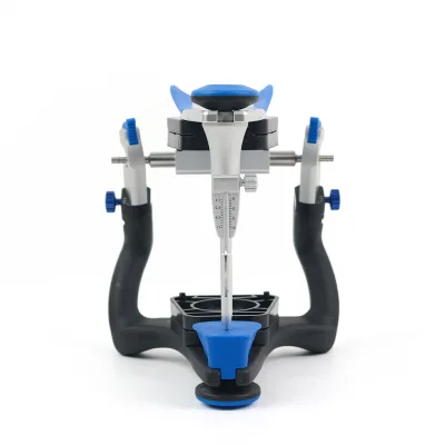 CN Carbon Fibre Functional Articulator Teeth Model Accurate Scale Plaster Model Dental Lab Equipment