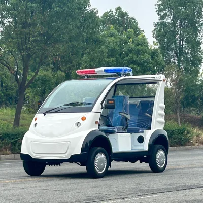 Open Electric Patrol Car for 4-5-Seaters Special Transportation Vehicle