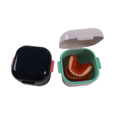Multi-purpose Dry Wet Separation Retainer Case Dental Cleaning with Ventilation Holes for Braces