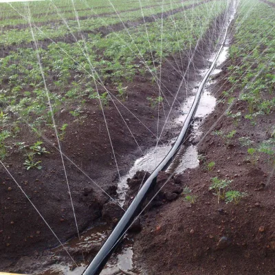 China Made Spray Agricultural Rain Hose Irrigation Irrigation Tape
