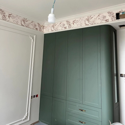 Hot Trend Elegant Green Armoire with Metal Accents for Home