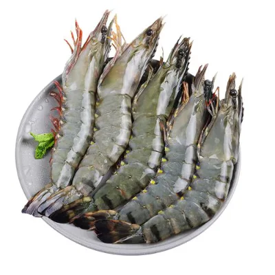 Seafood Fresh Raw Shrimp Frozen Black Tiger Prawn