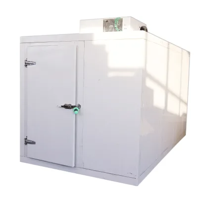 China Cheap Price 50 Tons Potato Fruit Vegetable Cold Room Walkin Freezer Chiller Cool Room