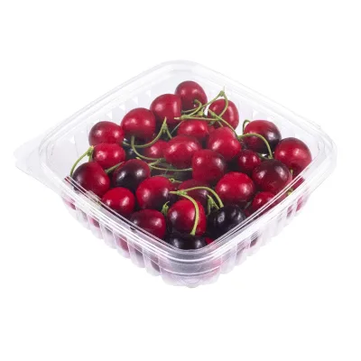Clear PET Clamshell Packaging for Food Reliable, Secure Storage for Packaged Foods, Snacks, and Ready to Eat Meals