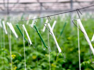 Small Tomato Climbing Hooks with Galvanized Cover and Twine for Peppers Cucumber Tomato Loofah Grape-Prevent Falling off