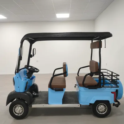 2025 New Daily Travel Household Open Body High Power 1000w 48V/60V 4 Wheel Electric Vehicle