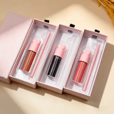 Daily Wear Lip Liner and Lip Glaze Pack Private Label Bulk Order Sweatproof Waterproof Design Vegan Gentle Formula Lip Kit