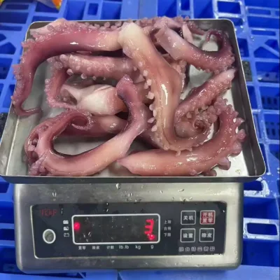 High Quality Frozen Cut Poulp Squid and Octopus Direct From the Sea New Season Supply