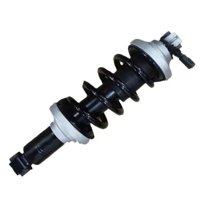 Car Suspension Parts Shock Absorber for Lamborghini Huracan OEM 4T7512019