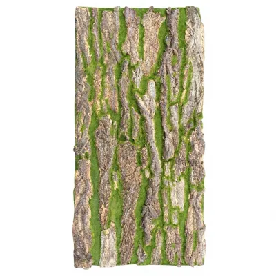 DLL650 Plastic Flocking Home Garden Simulation Lawn Lichen Grass 20mm Outdoor Pine Tree Barks Greening Decoration Artificial