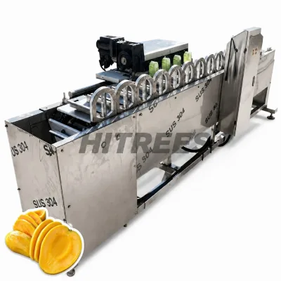 Smooth Feeding Industrial Mango Pitting Equipment for Frozen Processing With Strong Durability