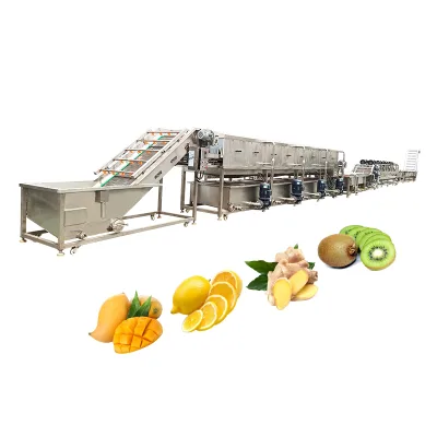 Apple / Pear / Mango Cleaning Processing Equipment Dehydrated Vegetable Processing Line Fruit Brush Cleaning Machine