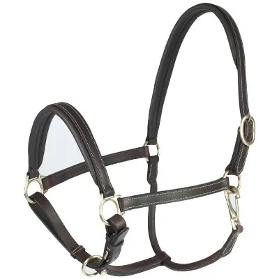 Premium Wholesale Popular Luxurious Elegant Perfect Adjustable Fashionable Padded Leather Horse Halter