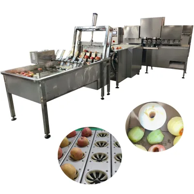 Apples Washing Machine Apple Fruit Skinner Removing Peeling Machine